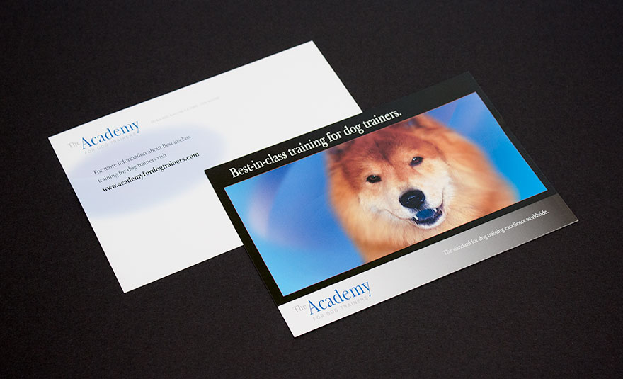 Academy for Dog Trainers Mailer