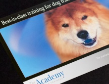 Academy for Dog Trainers